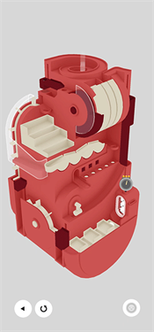 自动小球下载安装手机版