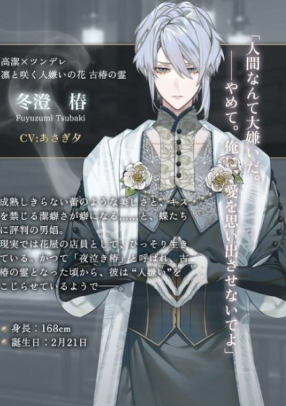 梦幻楼与不眠之蝶汉化版