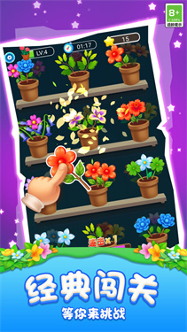 消了个花红包版