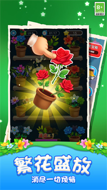 消了个花红包版