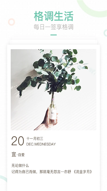 妈妈网轻聊安卓版下载