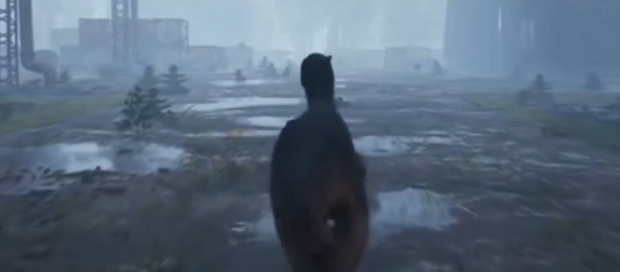 龙岛异兽国际服