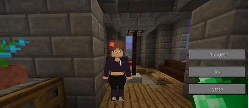 我的世界珍妮冒险直装版