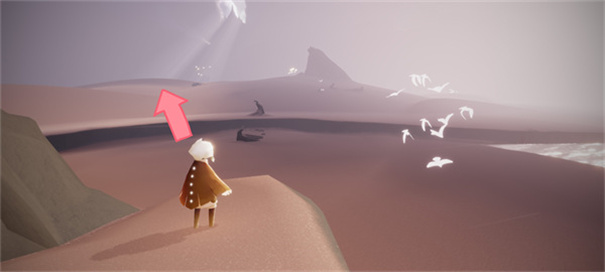 光遇全物品北觅