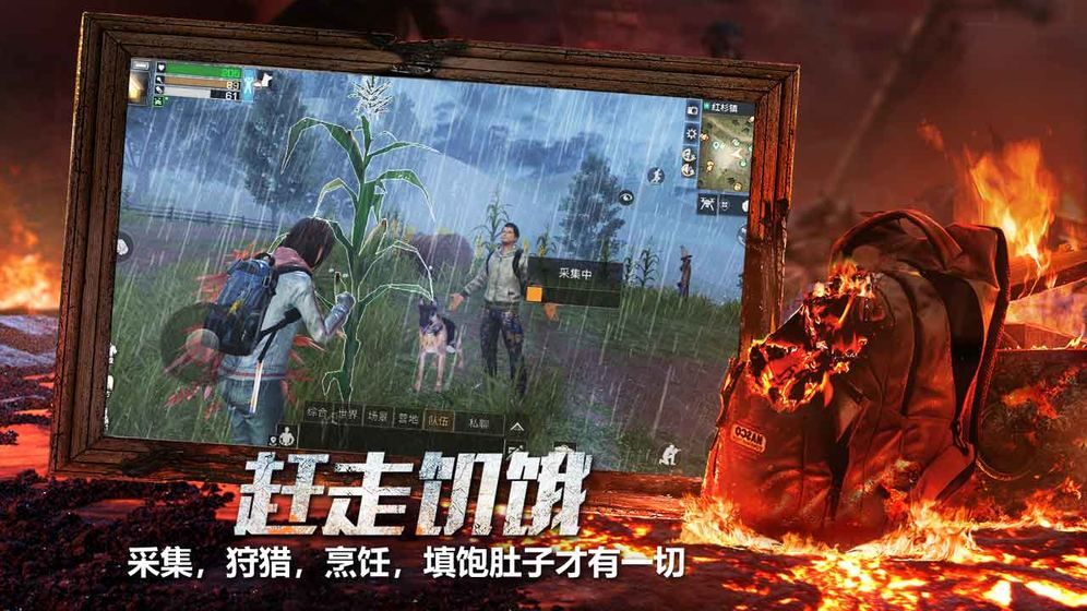 代号红门下载安装最新版