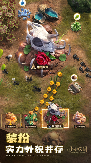 小小蚁国最新版