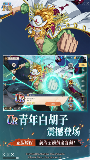 航海王启航无限版