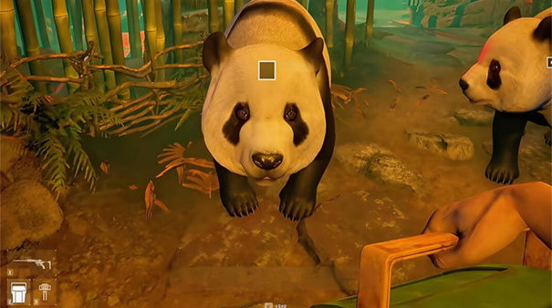 会说话的熊猫宝宝