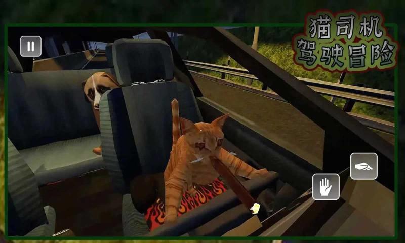 猫司机驾驶冒险