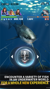 钓鱼发烧友2025最新版本