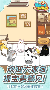 领养一只流浪猫下载