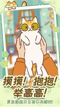 领养一只流浪猫