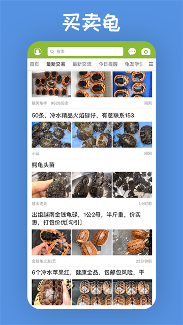 龟友天下养龟交流社区