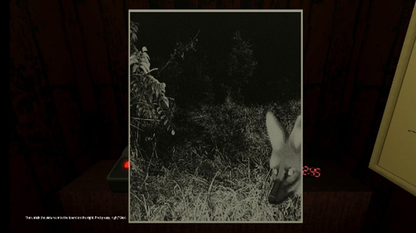 动物观察员手机版