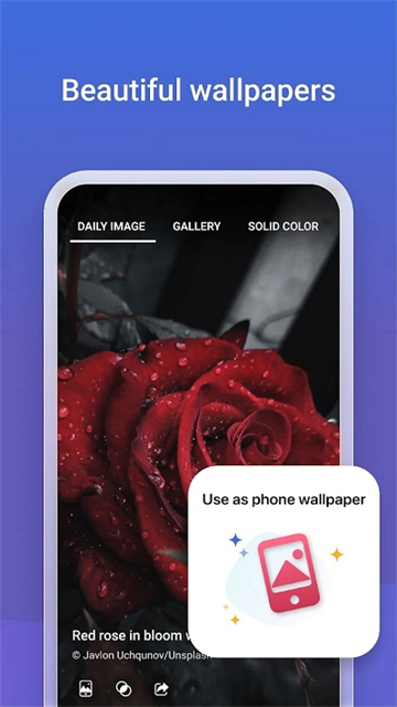 微软必应国际版