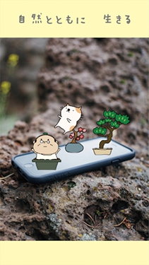 盆栽大师中文版