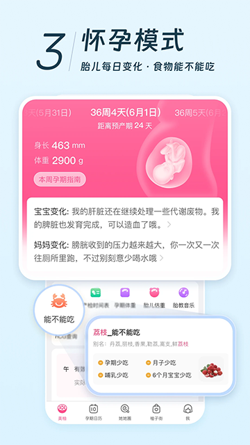 美柚App普通版