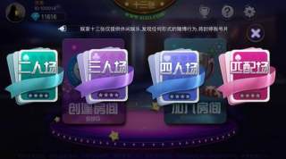 娱家十三张安卓版