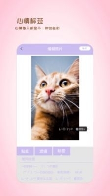 全能美日相机免费版