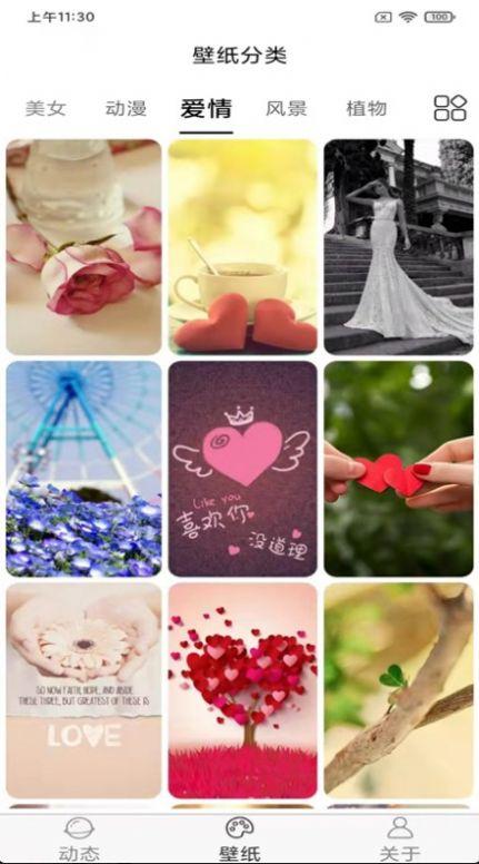 飞花动态壁纸高清版