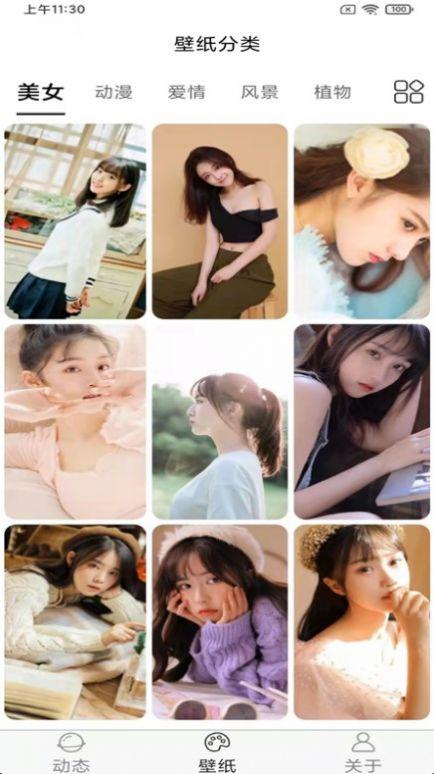 飞花动态壁纸高清版