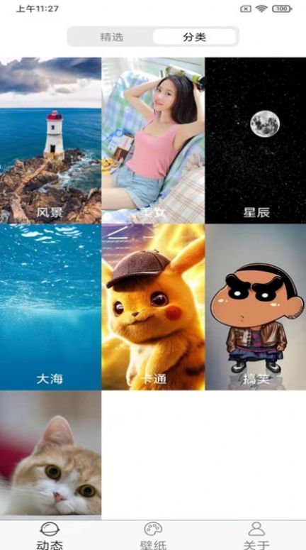 飞花动态壁纸高清版