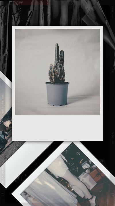 lastroll复古胶片相机破解版